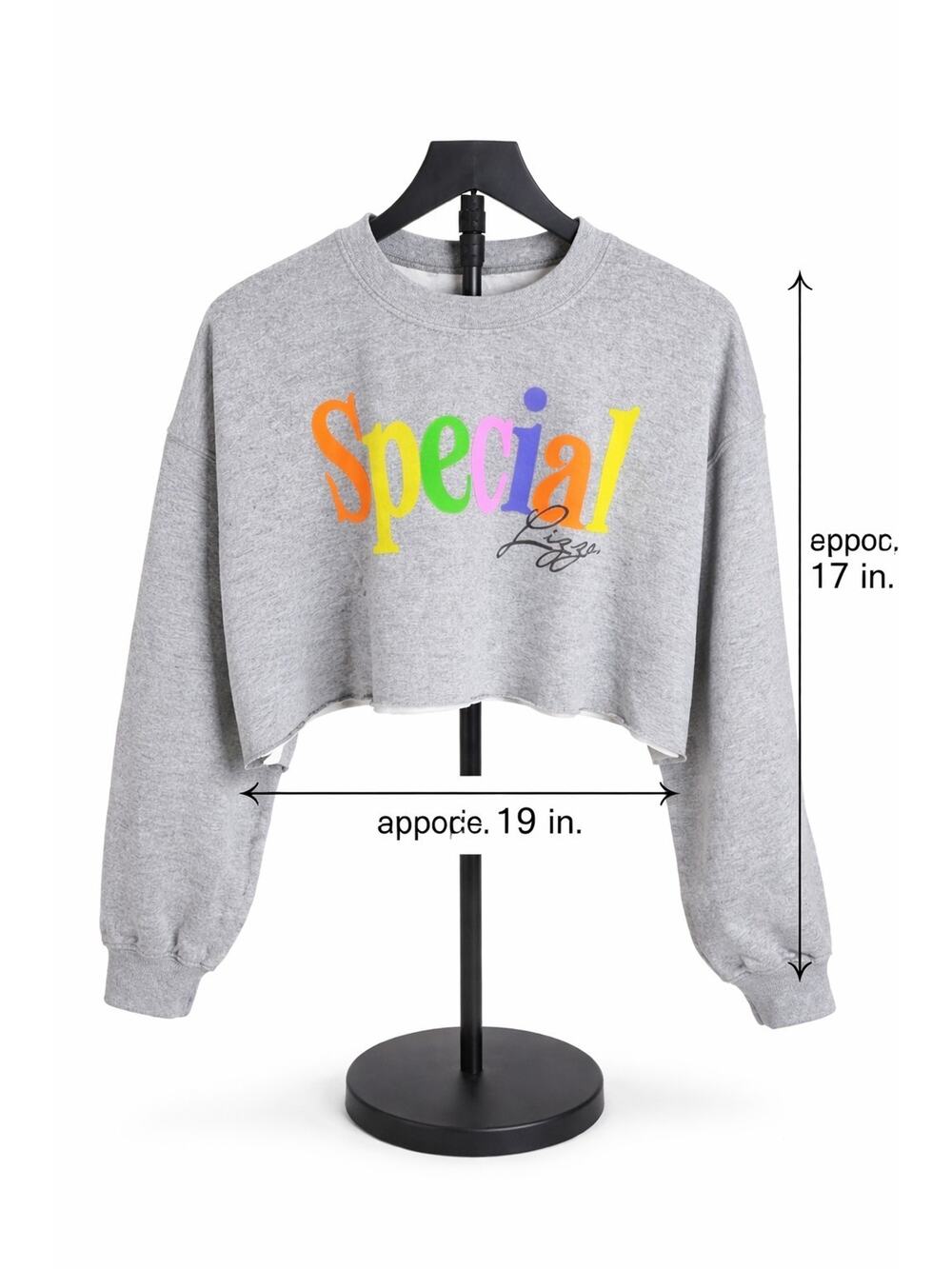 Lizzo Special Cropped Gray Sweatshirt NWOT Size M